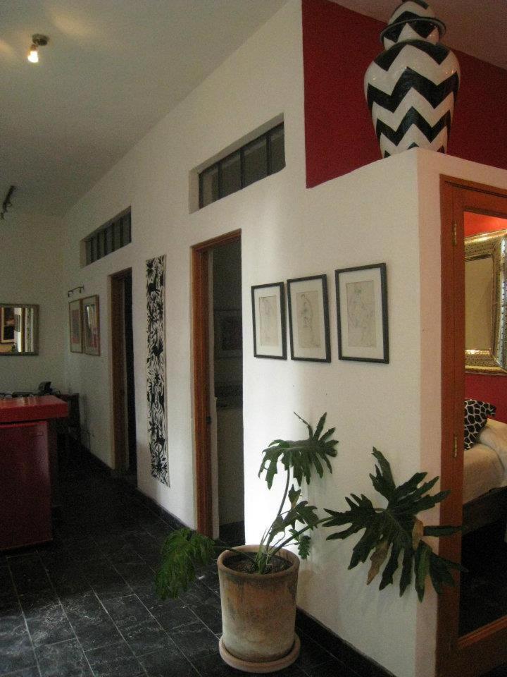 Casa Carly Ξενοδοχείο Σαν Μιγκέλ ντε Αγιέντε Εξωτερικό φωτογραφία