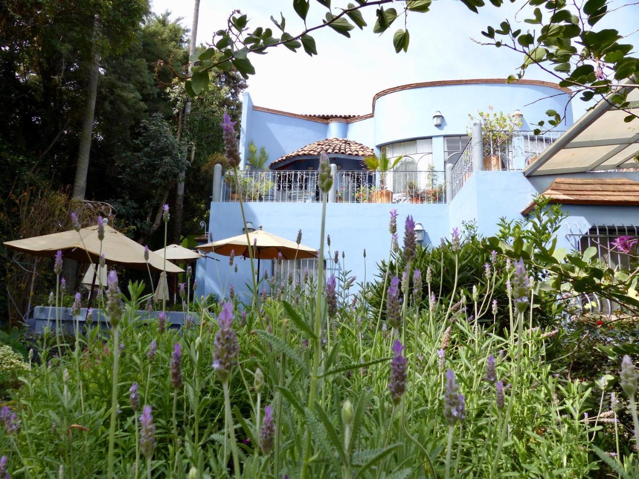 Casa Carly Ξενοδοχείο Σαν Μιγκέλ ντε Αγιέντε Εξωτερικό φωτογραφία