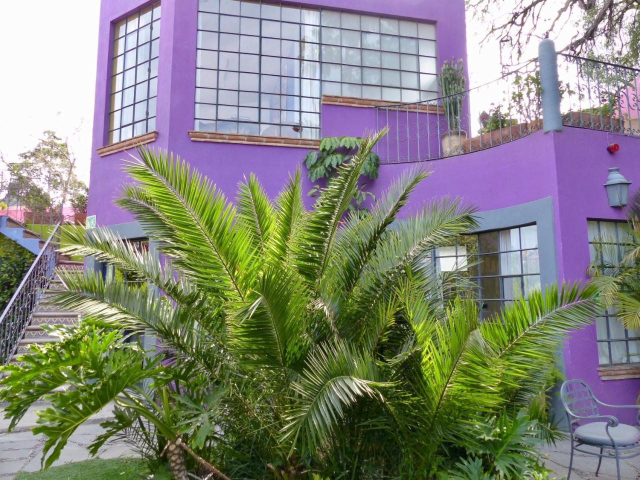 Casa Carly Ξενοδοχείο Σαν Μιγκέλ ντε Αγιέντε Εξωτερικό φωτογραφία